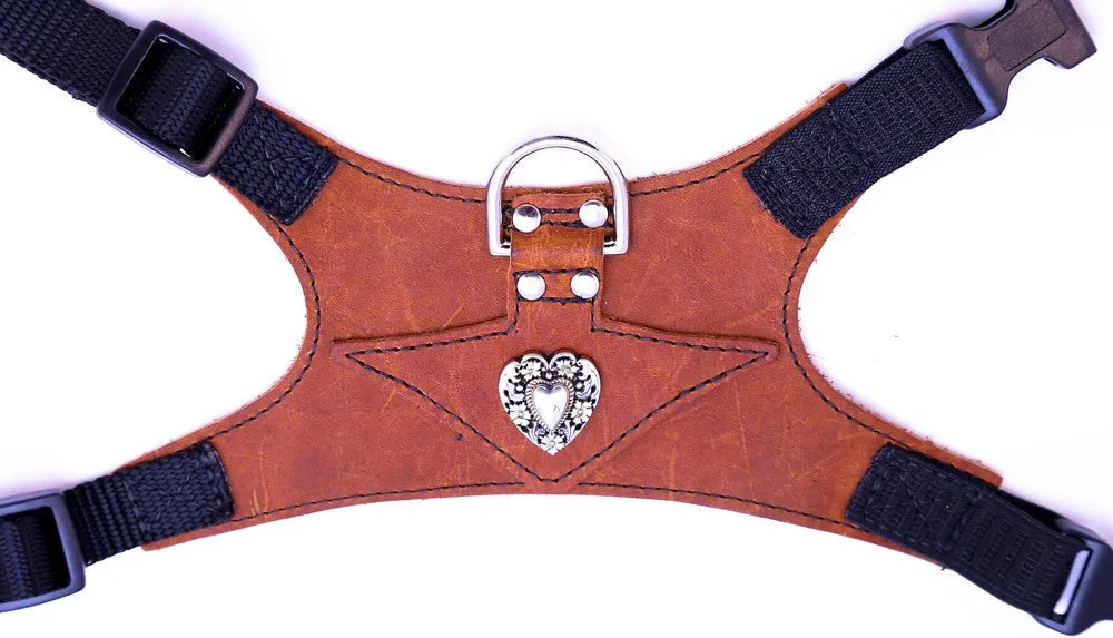 Leather Comfort Harnesses MEDIUM, MEDIUM-WIDE*, LARGE*