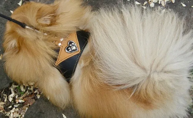 Leather Comfort Harnesses MEDIUM, MEDIUM-WIDE*, LARGE*