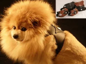 Leather Comfort Harnesses MEDIUM, MEDIUM-WIDE*, LARGE*