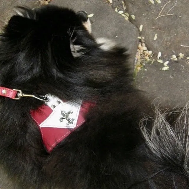 Leather Comfort Harnesses MEDIUM, MEDIUM-WIDE*, LARGE*