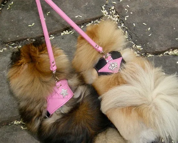 Leather Comfort Harnesses MEDIUM, MEDIUM-WIDE*, LARGE*