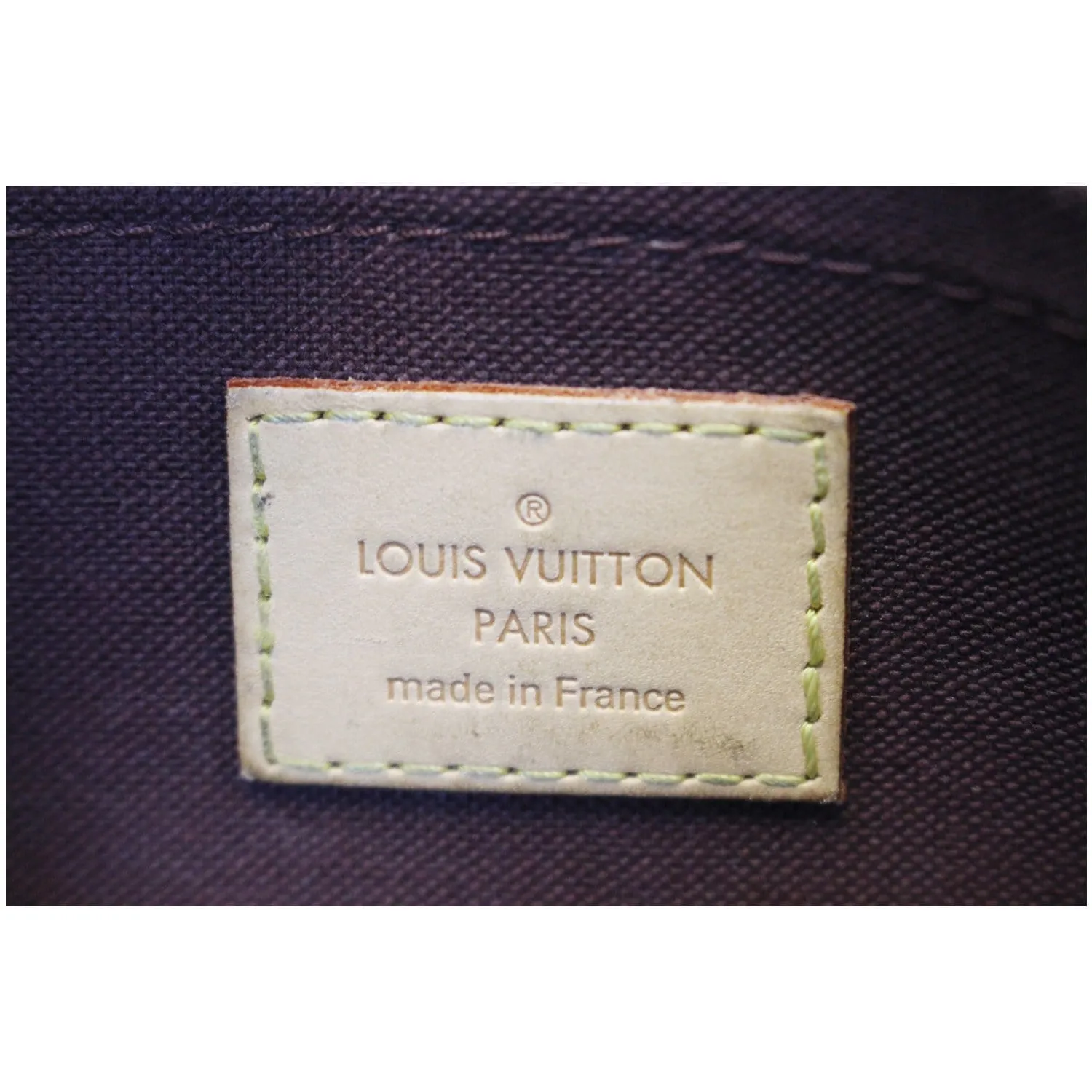 LOUIS VUITTON Favorite PM Monogram Canvas Crossbody Bag