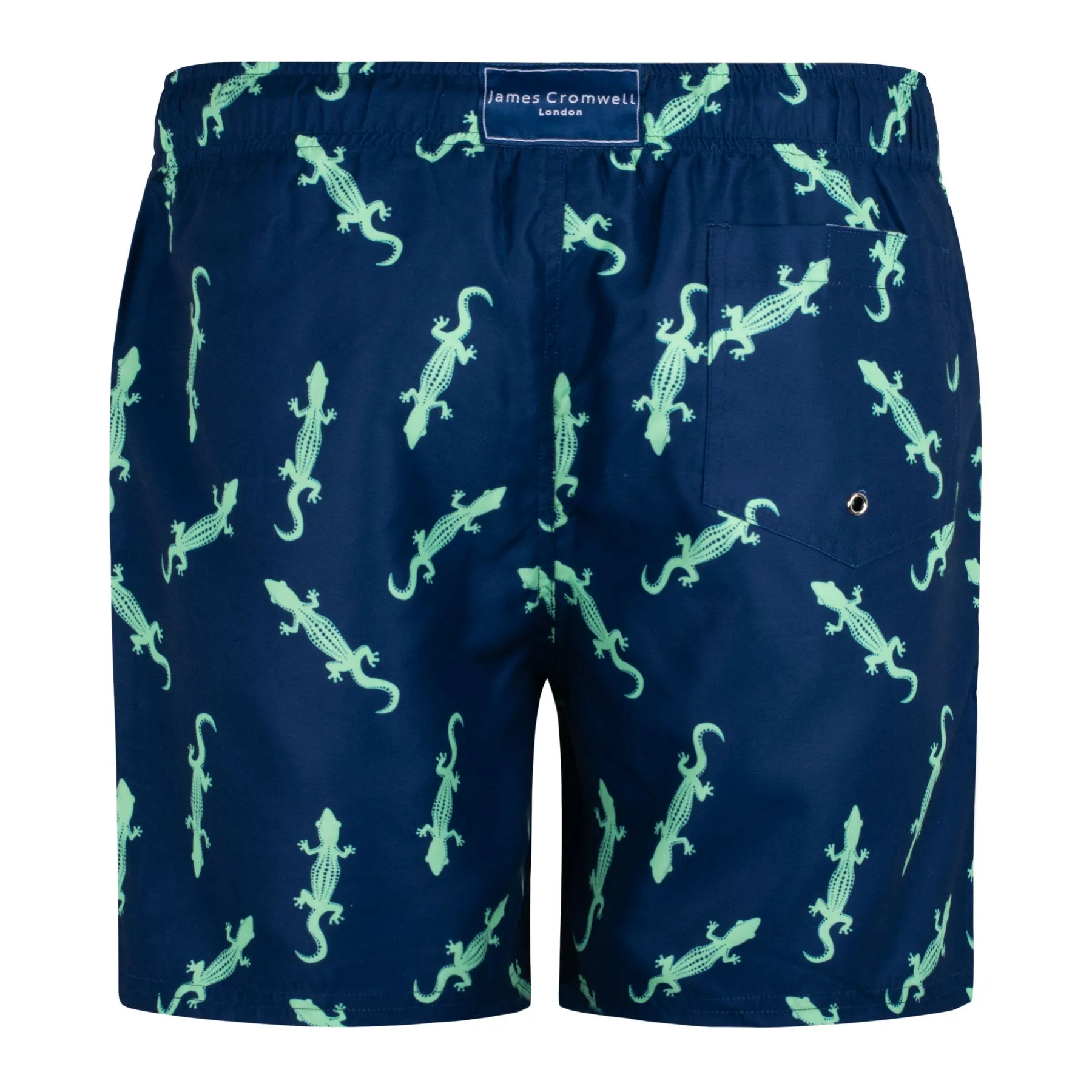 Navy Bold Gecko