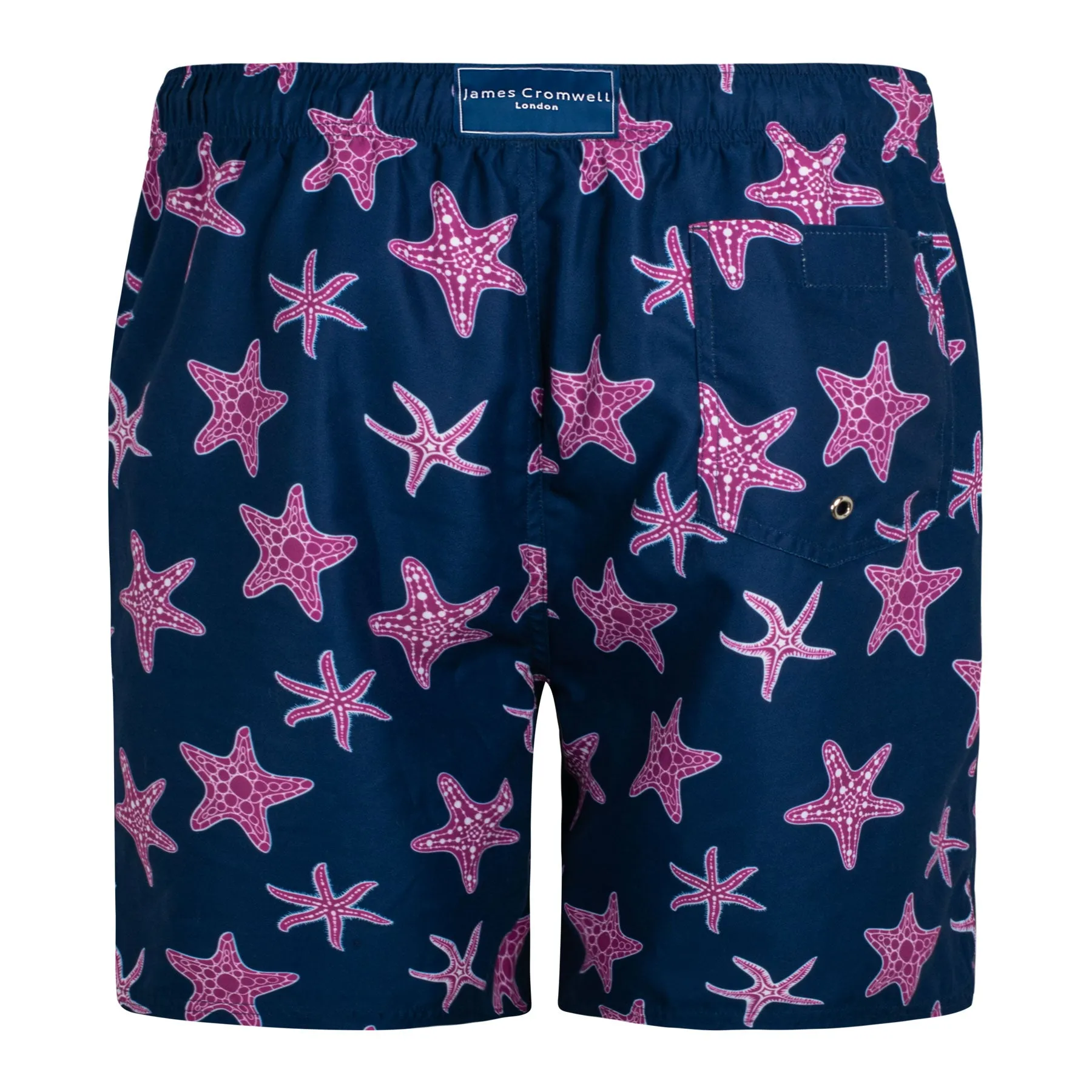 Navy Bold Starfish
